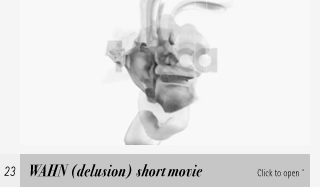 Wahn motion Project